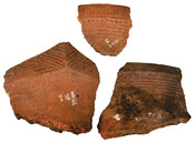Fragments of pottery collected from the Jackes Archaeological Site, Toronto, circa 1400s. Sustainable Archaeology McMaster.