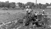 Harry Chong driving an International Harvester tractor at the Charlie Chong Farm, 1951. Courtesy of the Chong family.