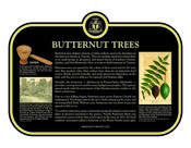 The Butternut Trees Commemorative plaque, 2023