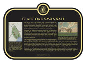Black Oak Savannah Commemorative Plaque, 2016