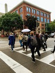 Streets to Shelves: Toronto's Library System walking tour crosses the street on College on the University of Toronto Campus, 2019. 