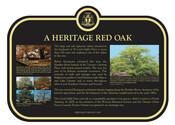 A Heritage Red Oak Commemorative Plaque, 2019