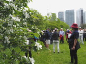 Tour participants, Fort York, June 2, 2019. Image by Hanifa Mamujee.