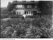 Victory Garden on front lawn, Crescent Road, Toronto, 1916. Image: City of Toronto Archives