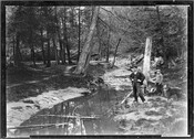 Three children and a dog beside Taddle Creek in the Wychwood area, 1907. City of Toronto Archives.