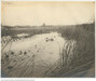 Ashbridge’s Bay looking northeast from north bank of cut, Toronto, 1904. Courtesy of the City of Toronto Archives.