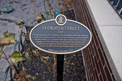 19 Draper Street, 1881, Commemorative plaque, 2021.